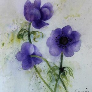 Anemone 46x32 cm