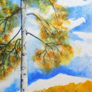 Birken 46 x 32cm