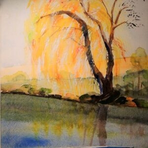 Boot und Weide 46 x 32cm