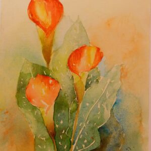 Callas 46x32 cm