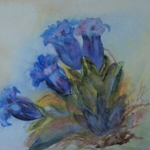 Enzian 46x32 cm