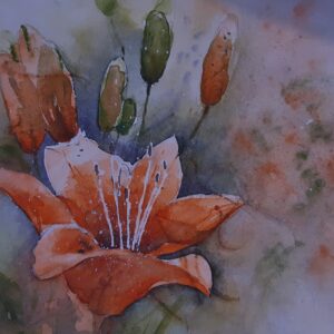 Feuerlilie 46x32 cm