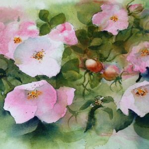 Heckenrosen 46x32 cm