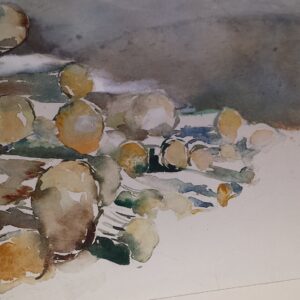 Holzstaemme 46x32 cm