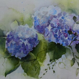 Hortensien 46x32 cm