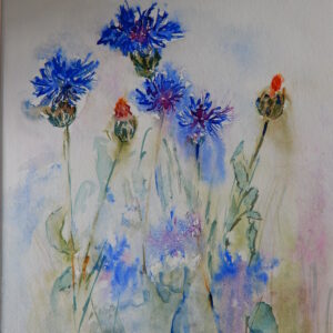 Kornblumen
