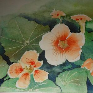 Kresse 46x32 cm