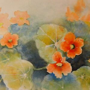 Kresse 46x32 cm