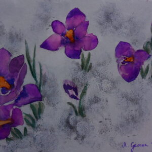 Krokus-im-Eis 46x32 cm