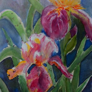 Lilien 46x32 cm