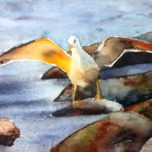 Möwe im Abendlicht 46 x 32cm