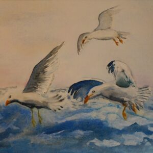 Möwen im Flug 46 x 32cm