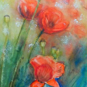 Mohn 46x32 cm