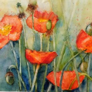 Mohn 46x32 cm