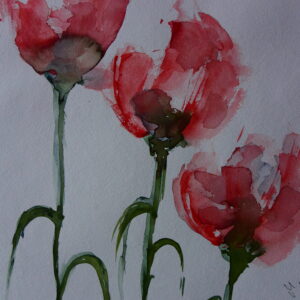 Mohnblumen 46x32 cm