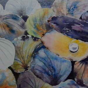 Muscheln 46x32 cm