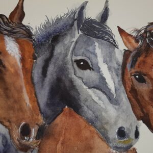 Pferdekoepfe 50x60 cm