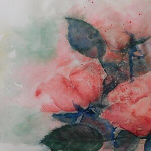 Rosen 46x32 cm