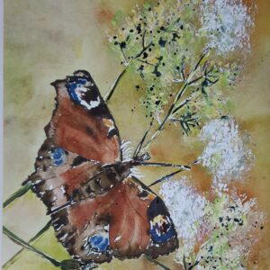 Schmetterling2 46 x 32cm