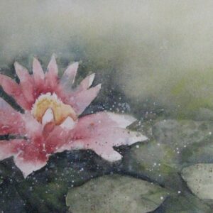 Seerose 46x32 cm