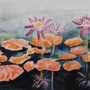 Seerosen 46x32
