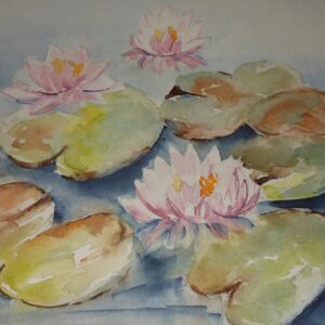 Seerosen 46x32cm