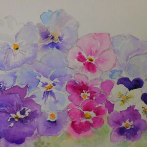 Stiefmuetterchen 46x32 cm