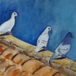 Tauben 46 x 32cm