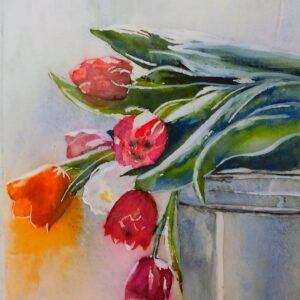 Tulpen 46x32 cm
