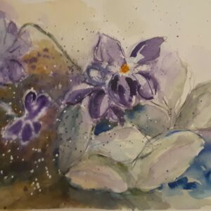 Veilchen 46x32 cm