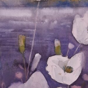 Weisser-Mohn-Irland 46x32