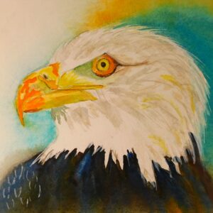 Adler-Landskron 46x32