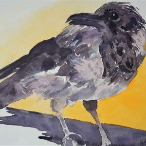Krähe 46x32