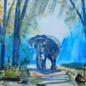 Elefant, 46x32