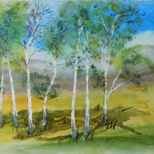 Birken im Frühling 46x32