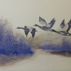 Graugänse 46x32