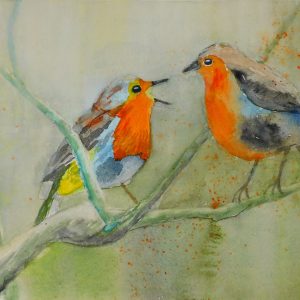 Rotkehlchen 46x32