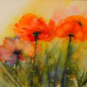 Mohnblumen Neu 46x32