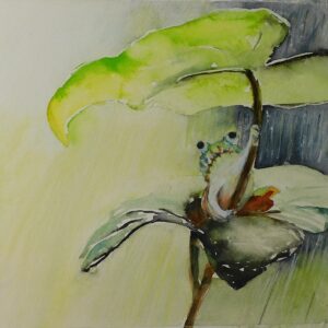 Frosch im Regen 46x32